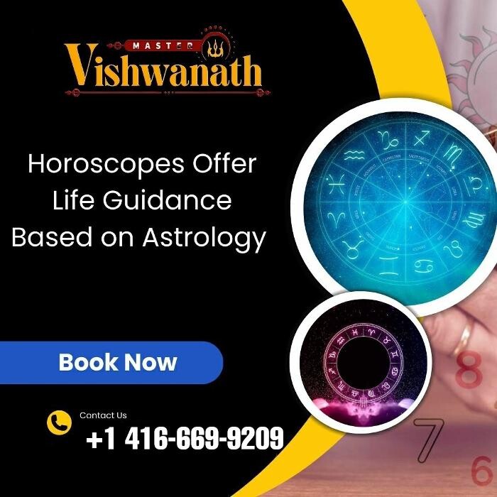 Images Astrologer & Spiritual Healer & Psychic - Master Vishwanath Guruji