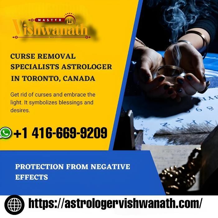 Images Astrologer & Spiritual Healer & Psychic - Master Vishwanath Guruji