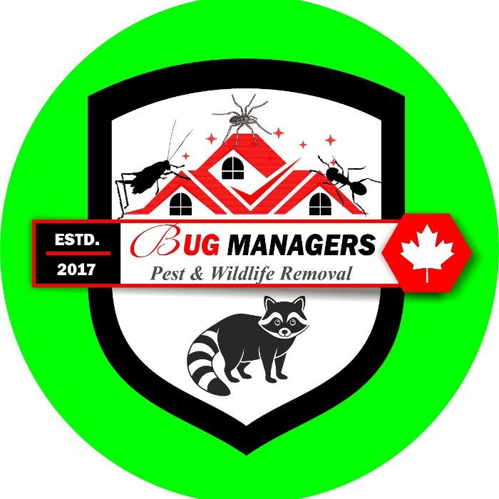 Bug Managers Pest Control Logo