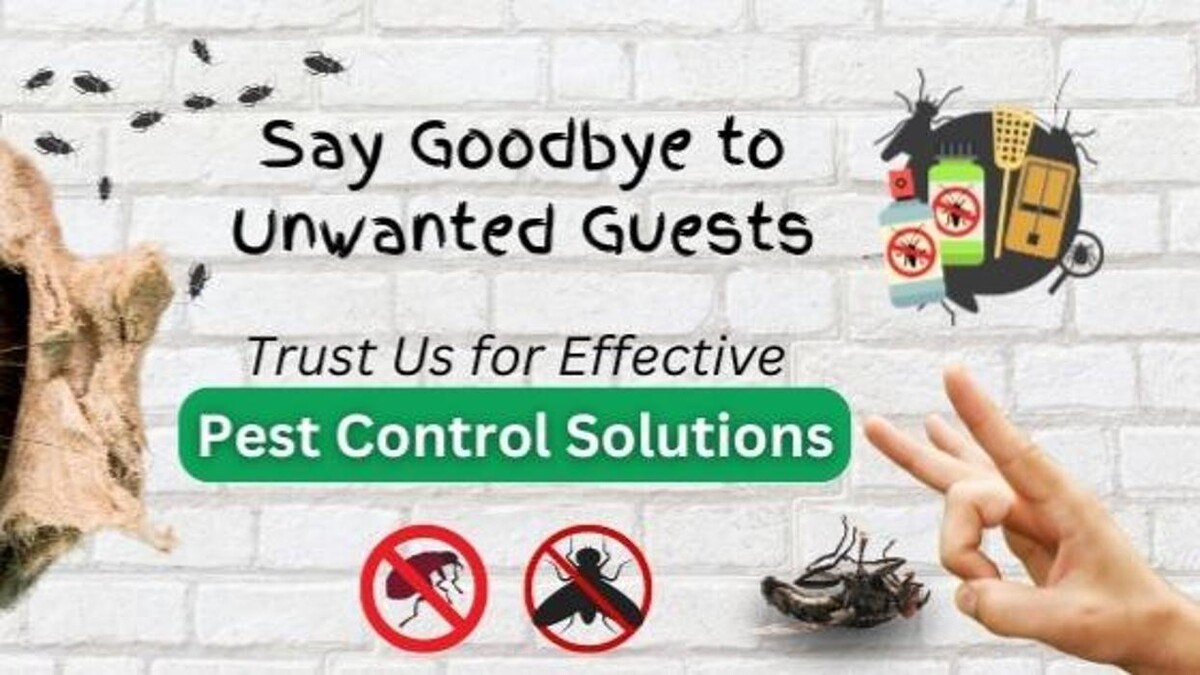 Images Broadway Pest Control - Best Pest Control Service in Surrey | Exterminator, Rodent Control & Pest Control Surrey BC