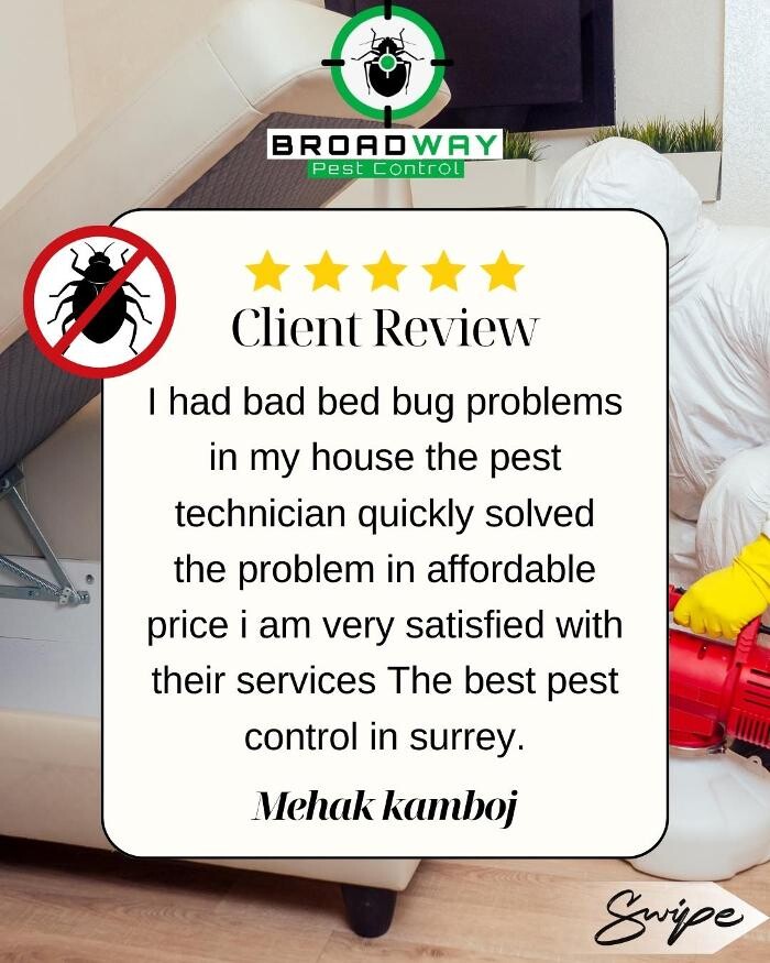 Images Broadway Pest Control - Best Pest Control Service in Surrey | Exterminator, Rodent Control & Pest Control Surrey BC