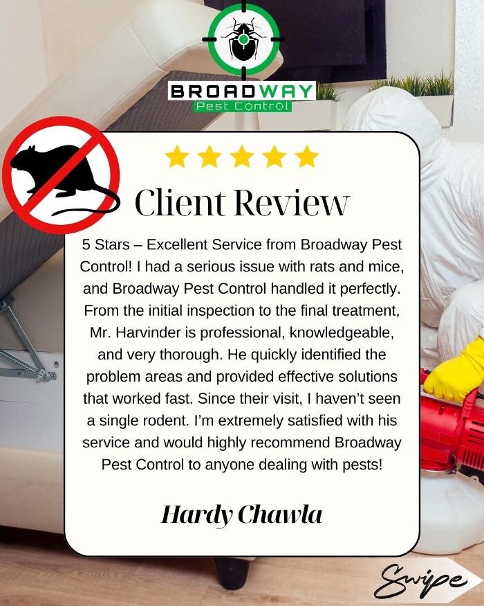 Images Broadway Pest Control - Best Pest Control Service in Surrey | Exterminator, Rodent Control & Pest Control Surrey BC