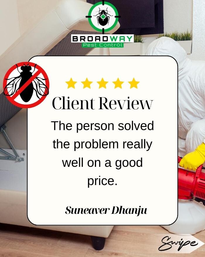 Images Broadway Pest Control - Best Pest Control Service in Surrey | Exterminator, Rodent Control & Pest Control Surrey BC