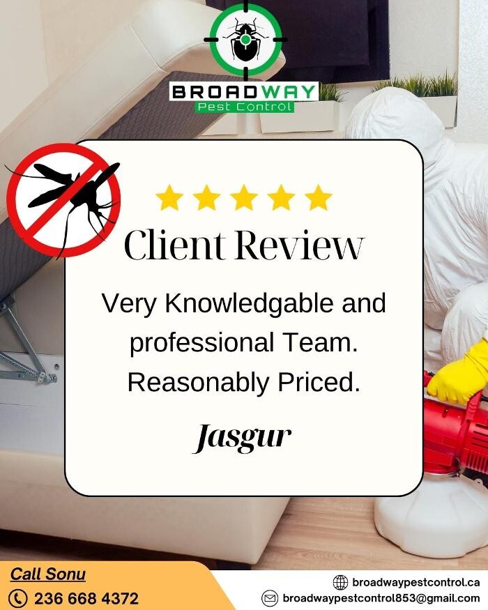 Images Broadway Pest Control - Best Pest Control Service in Surrey | Exterminator, Rodent Control & Pest Control Surrey BC