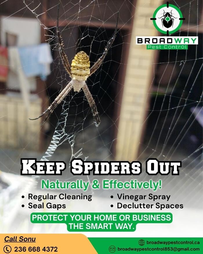 Images Broadway Pest Control - Best Pest Control Service in Surrey | Exterminator, Rodent Control & Pest Control Surrey BC