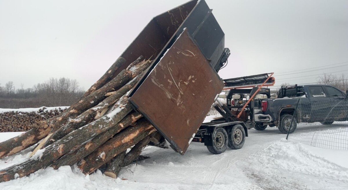 Images Campbell Firewood & Tree Services