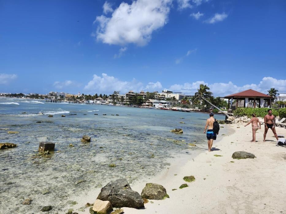 Images Forest Travel Service