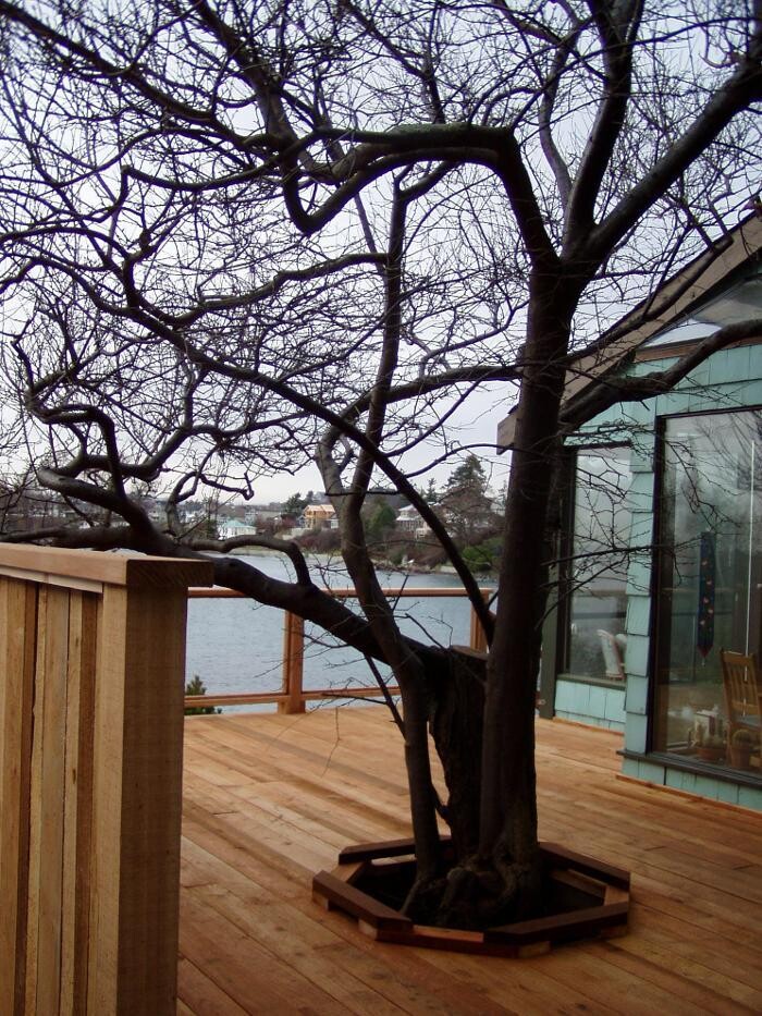 Images Natural Landscape Solutions