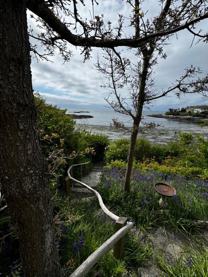 Images Natural Landscape Solutions