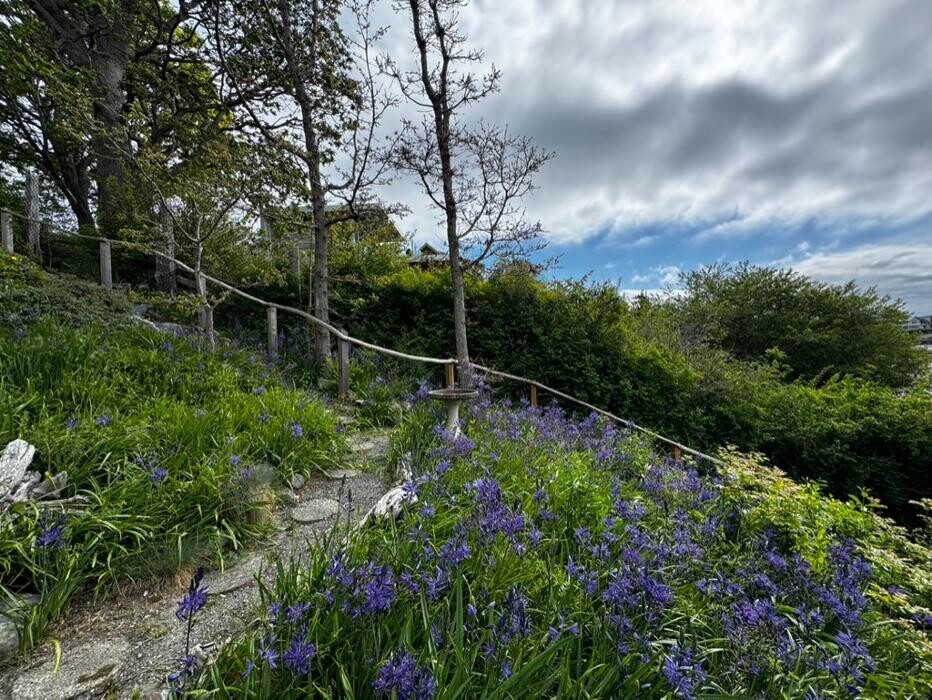 Images Natural Landscape Solutions