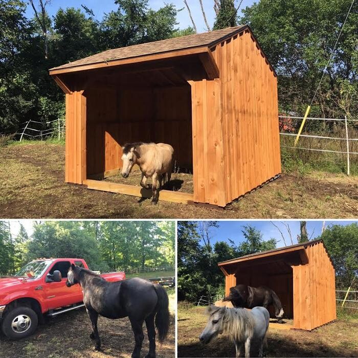Images Ottawa Sheds