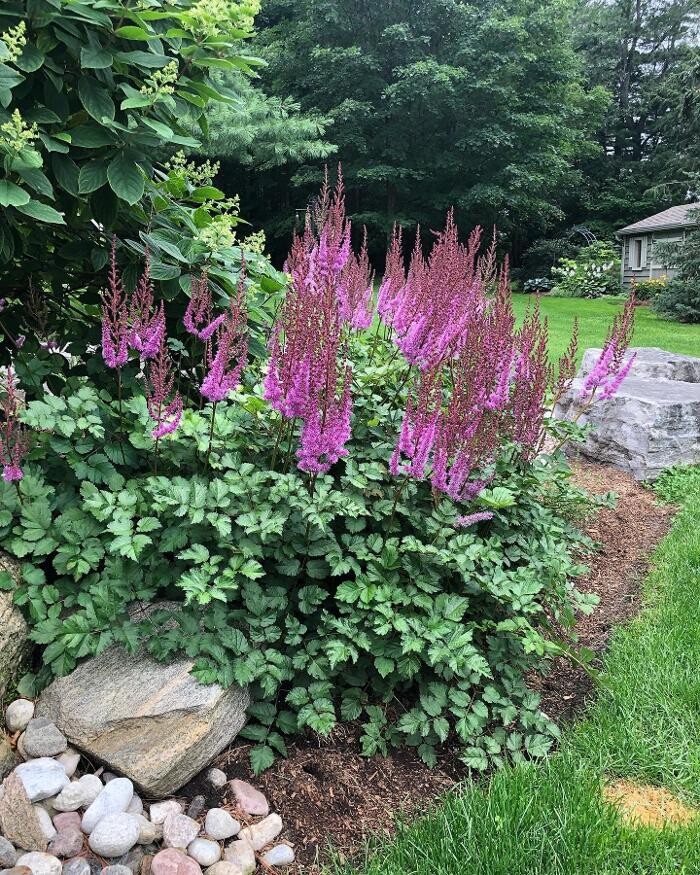 Images YYZ Landscaping