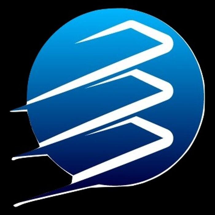 Budget Shelves Logo
