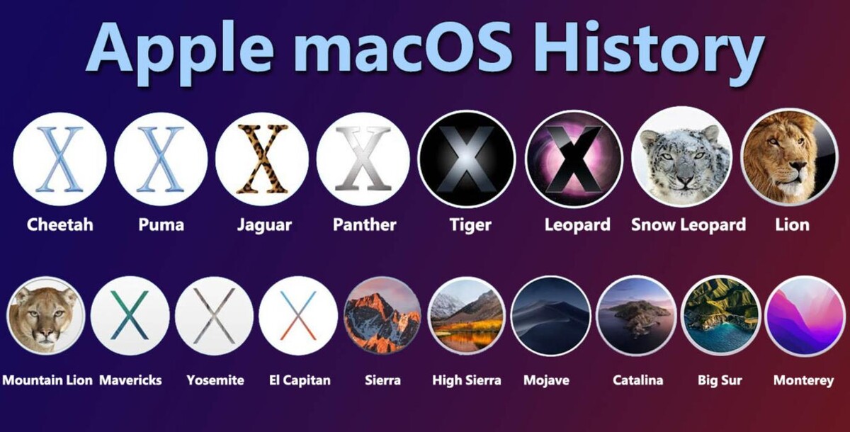Images Quick Softwares