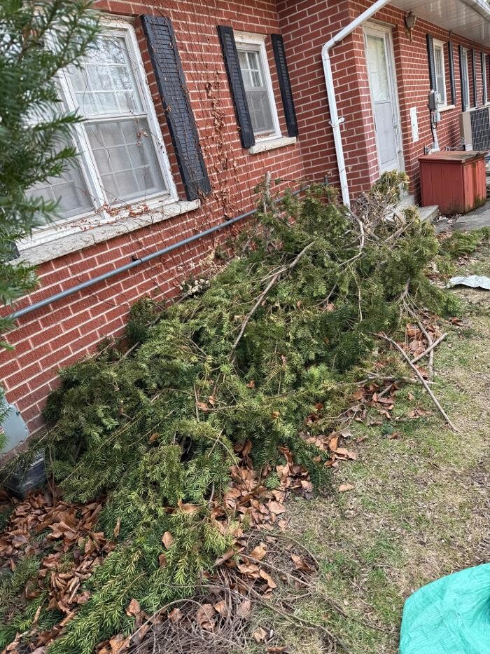 Images Junk Removal Empire