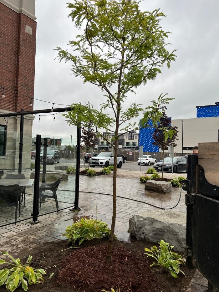 Images Juneau Tree Services