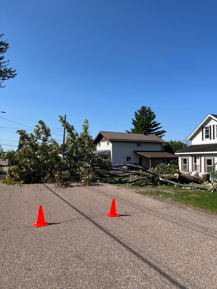 Images Juneau Tree Services