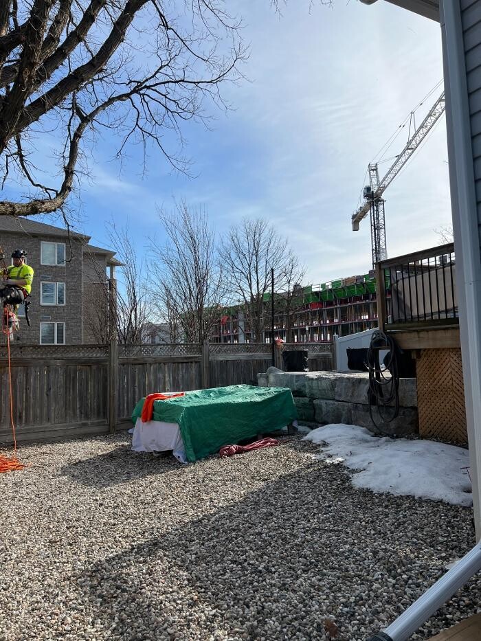 Images Juneau Tree Services