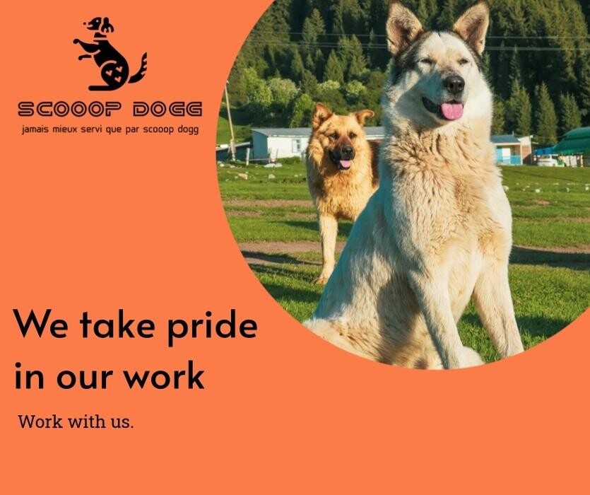 Images Scooop Dogg