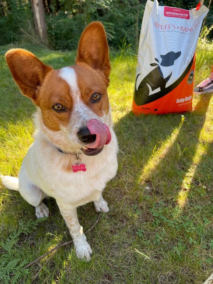 Images Riplee's Ranch Pet Foods Inc.