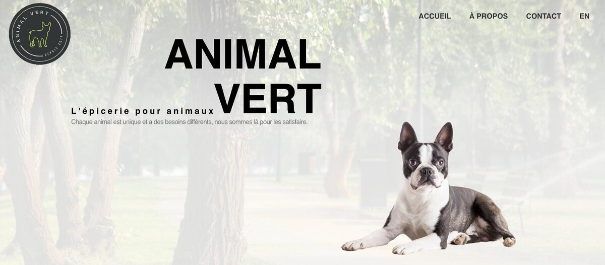 Images H1Site | Web Design & Agence Marketing | Vaudreuil