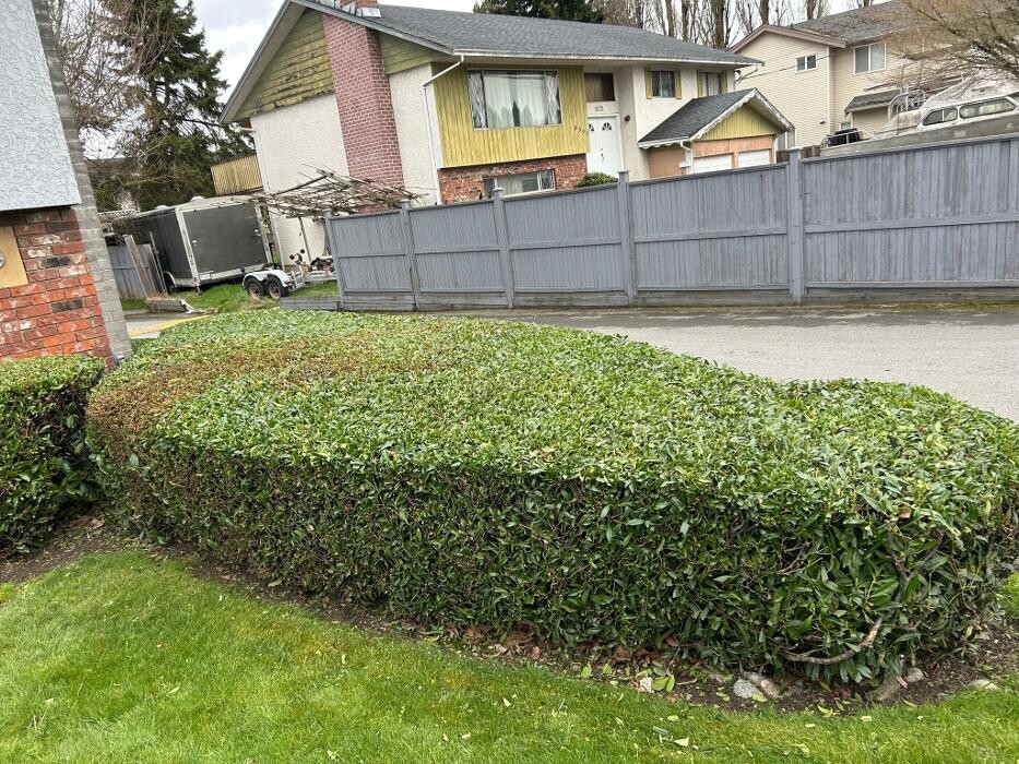 Images Freshway Gardening and Landscaping