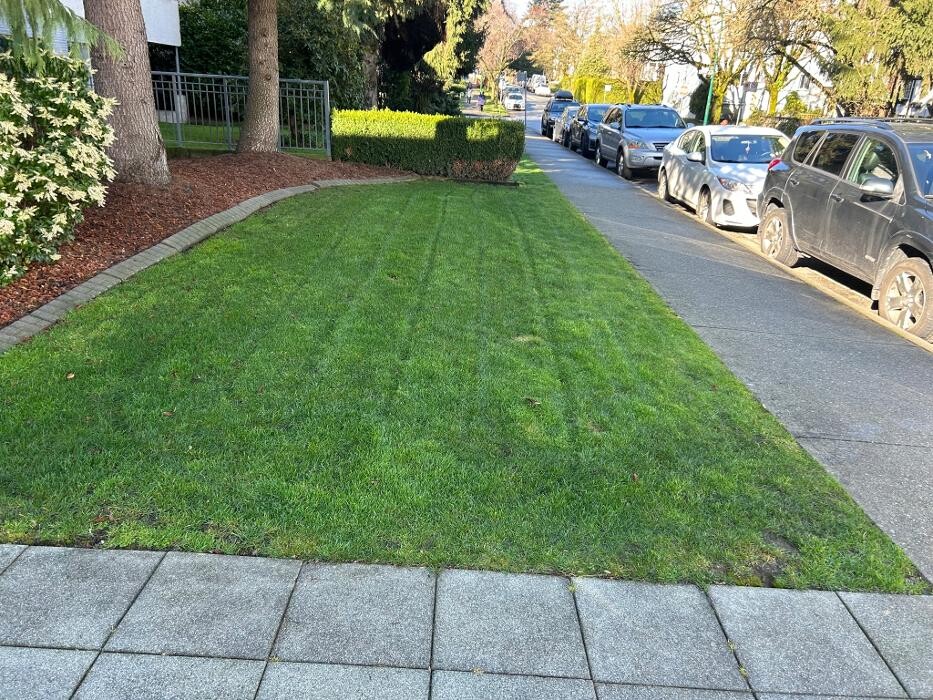 Images Freshway Gardening and Landscaping