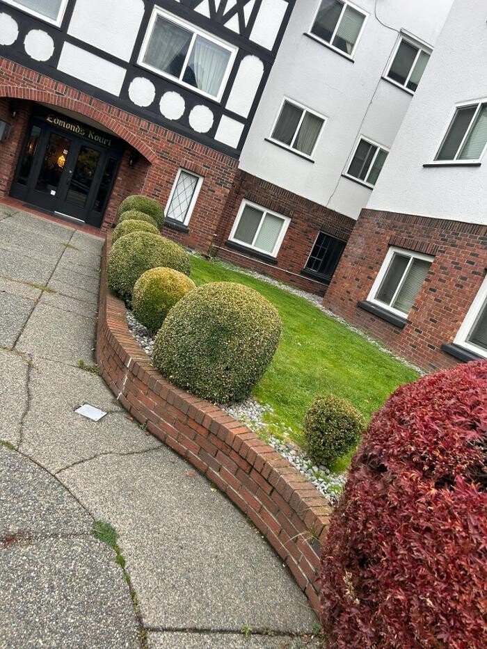 Images Freshway Gardening and Landscaping