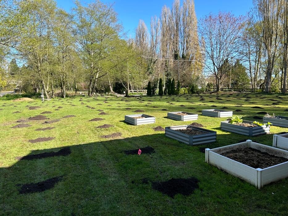 Images Freshway Gardening and Landscaping