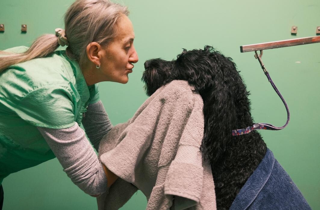 Images Pampered Pups