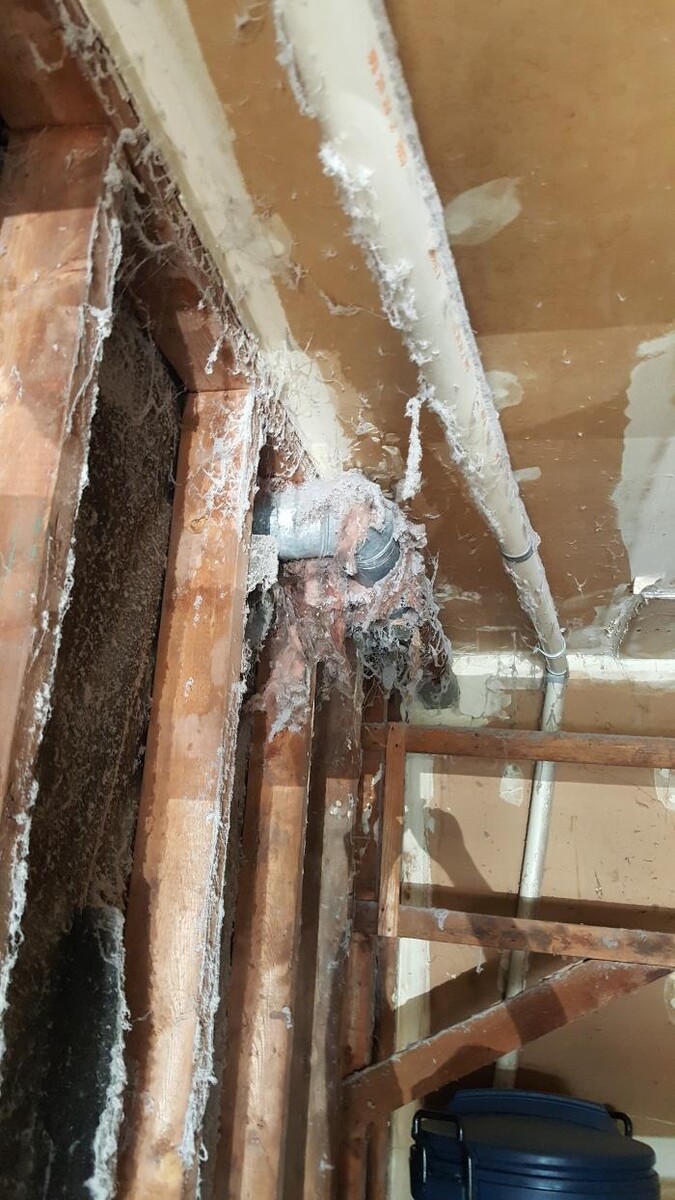 Images Ontario Cleaning Systems
