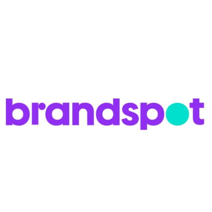 Brandspot, Inc Logo