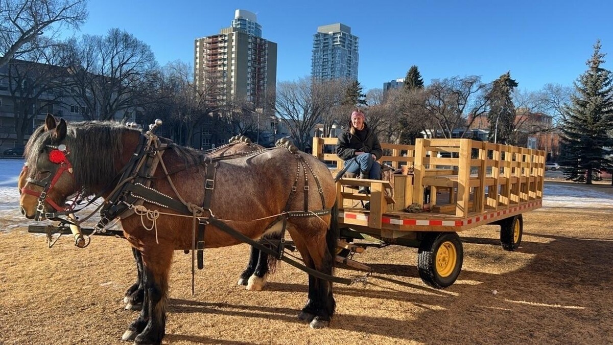 Images Lonestar Ranch Wagons & Sleighs