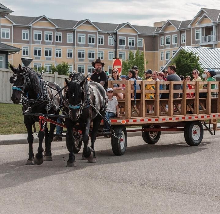Images Lonestar Ranch Wagons & Sleighs