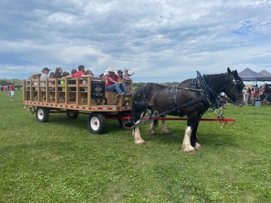 Images Lonestar Ranch Wagons & Sleighs