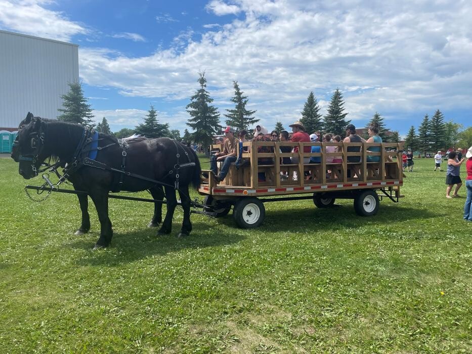 Images Lonestar Ranch Wagons & Sleighs