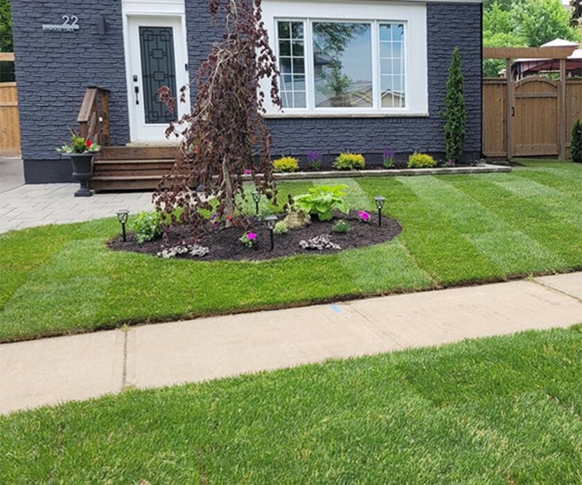 Images Upscale Landscaping