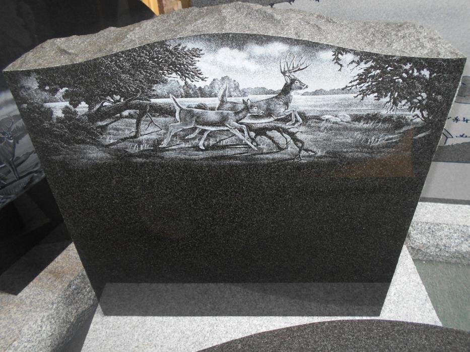 Images Cambrian Stone