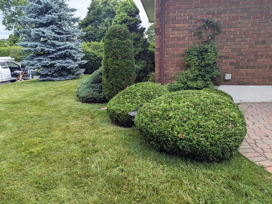 Images Greencraft Hedge & Garden