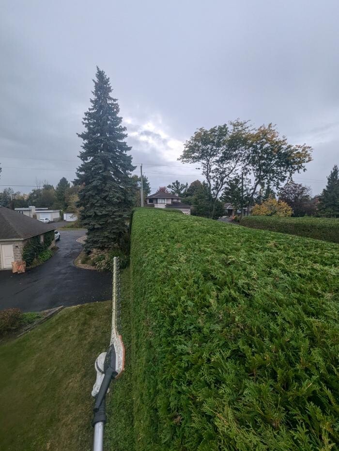Images Greencraft Hedge & Garden