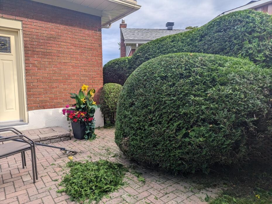 Images Greencraft Hedge & Garden