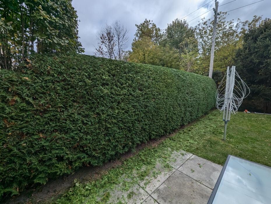 Images Greencraft Hedge & Garden