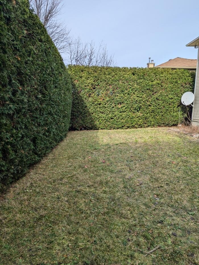 Images Greencraft Hedge & Garden