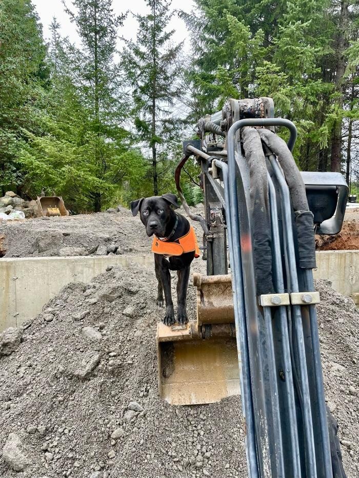 Images Westworks Excavating Ltd