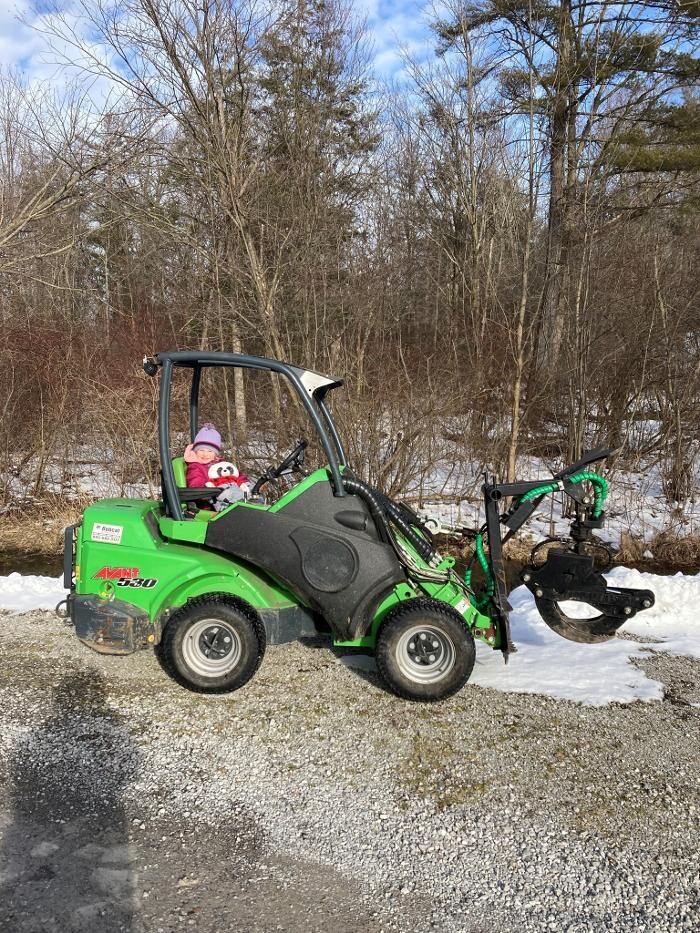 Images Stobbe?s Tree Service
