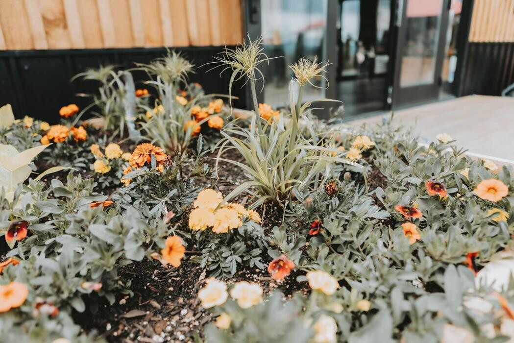 Images Ve Oh Lay Acres Winery & Farm