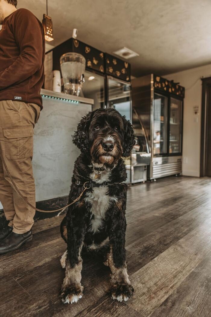 Images Ve Oh Lay Acres Winery & Farm