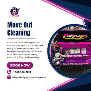 Images Tidyups Cleaning Service Inc