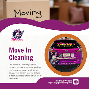 Images Tidyups Cleaning Service Inc