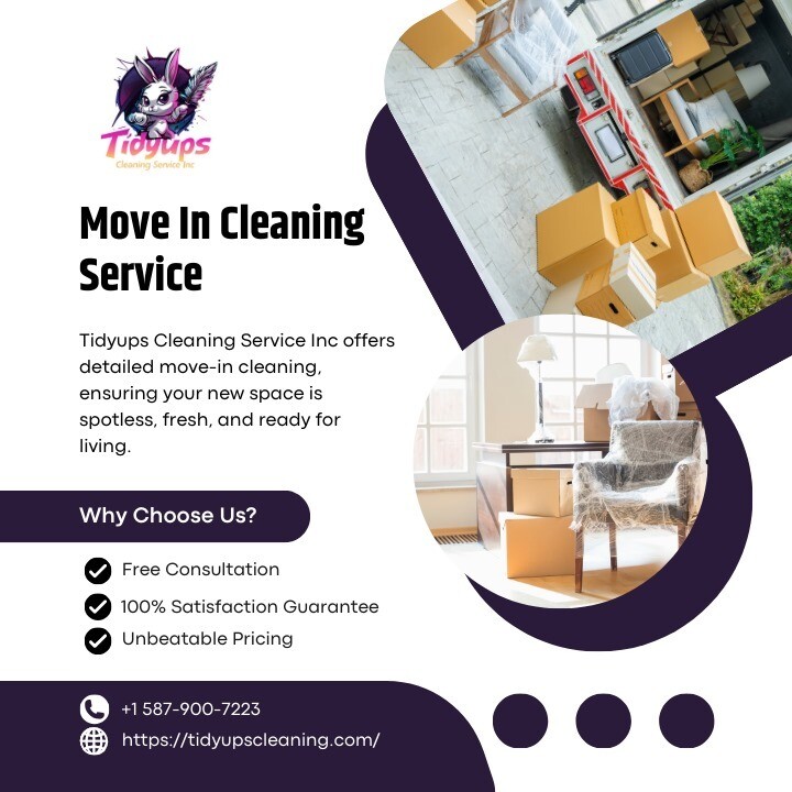 Images Tidyups Cleaning Service Inc